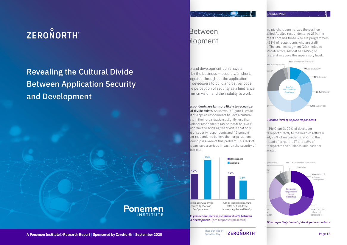 Ponemon Report Revealing the Cultural Divide Between Application